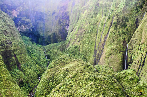 Photograph Of A Jungle Mountain Valley