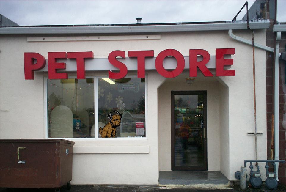 Picture of pet store front, with the CHRS logo's "Crossley Pup" in the front window